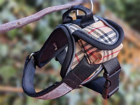 burberry dog|Burberry dog harness and leash.